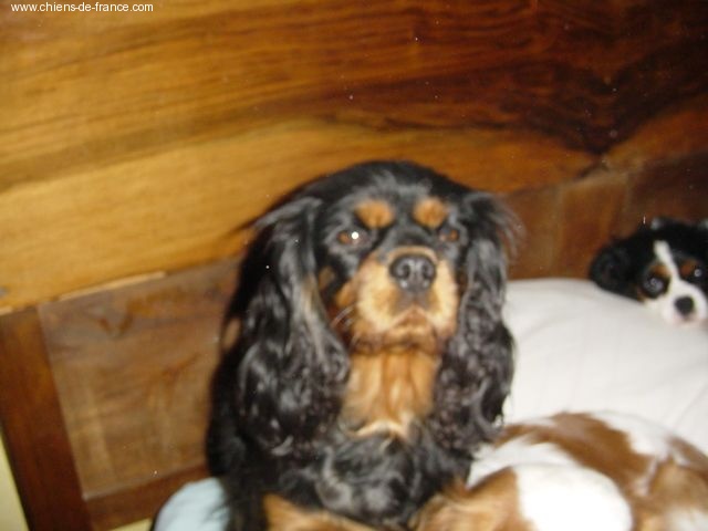 To night du Plan de la Baume